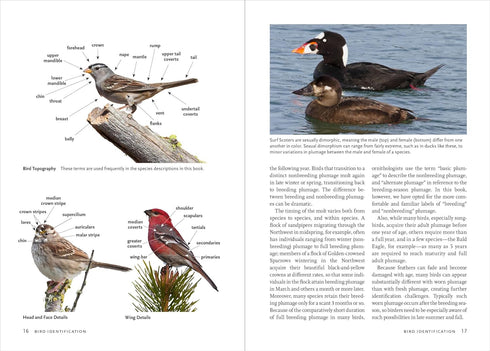 BIRDS OF THE PACIFIC NORTHWEST - SHEWEY. JOHN
